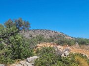 Agios Nikolaos Kreta, Agios Nikolaos: Baugrundstück mit Meerblick zu verkaufen Grundstück kaufen